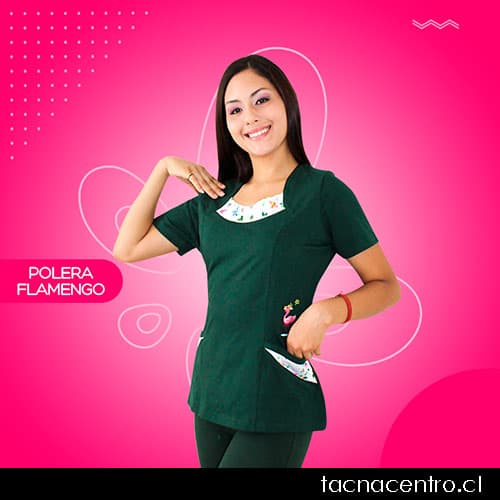 educadora diferencial Flamenco Tacna
