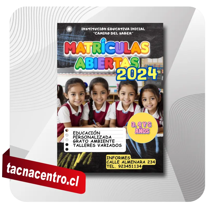 afiche-publicitario-para-institucion-educativa-chile