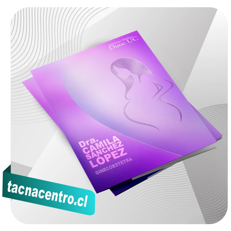 impresion-carpetas-corporativas-con-solapa-tamaño-oficio-chile