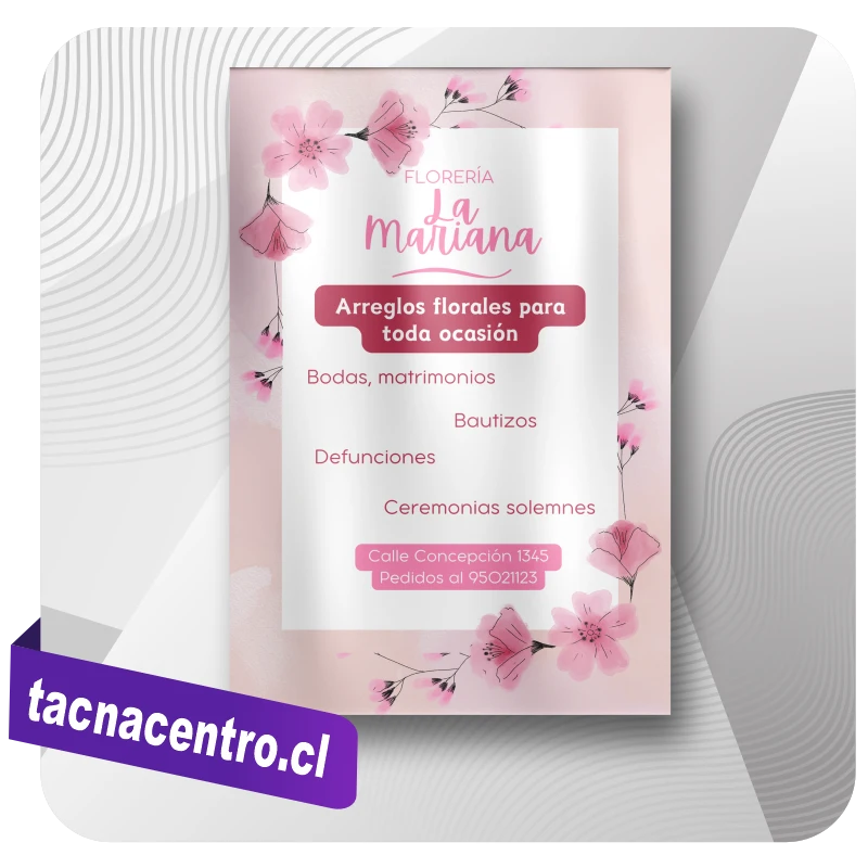 modelo-de-gigantografia-publicitaria-para-pared-impresion-personalizada-tacna-centro-chile