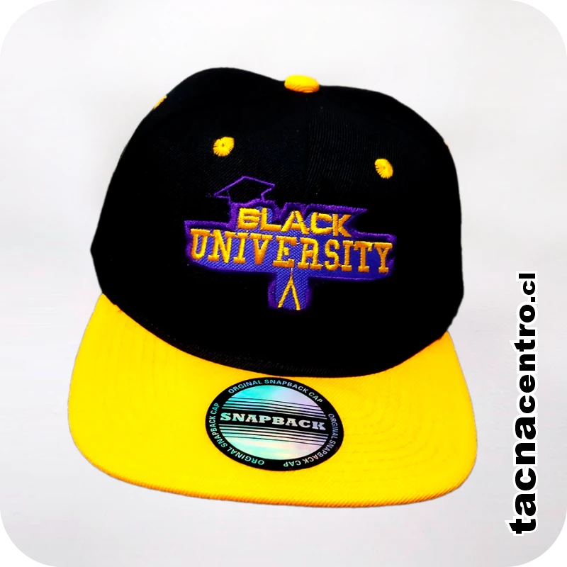 gorras snapback chile personalizadas con bordado