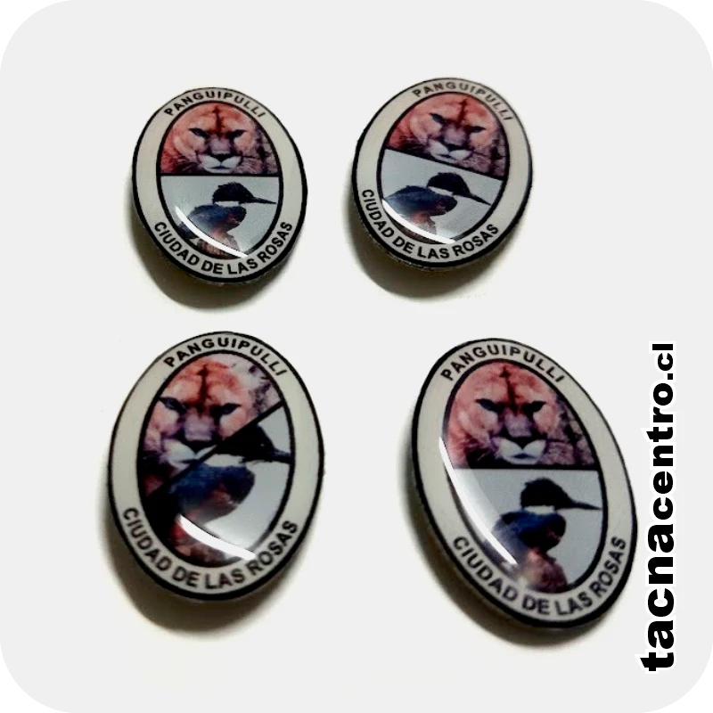 pines personalizados por mayor impresion a color y cubierto de resina chile