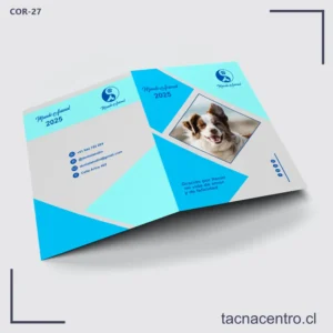 Carpetas Corporativas Personalizadas 35 Carpetas Corporativas en Puerto Varas impresion personalizada y diseño gratuito chile
