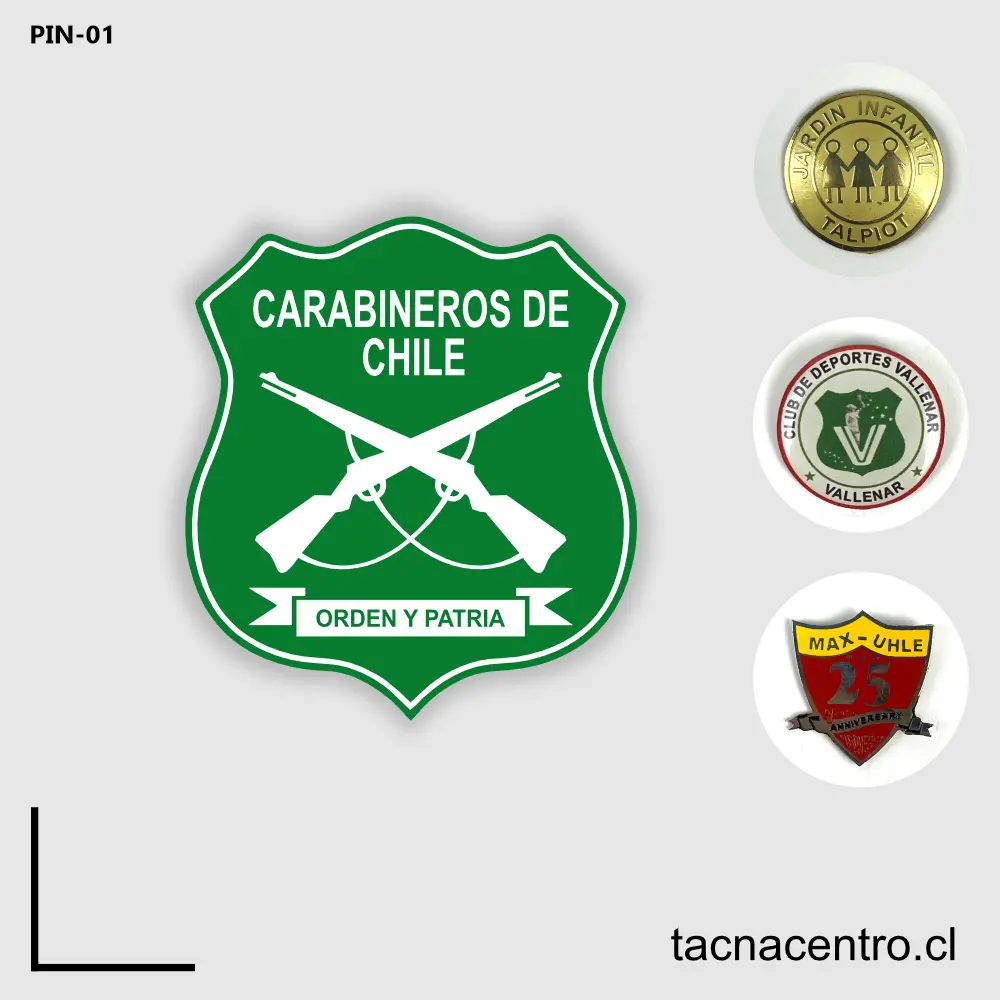 Piochas de carabineros de chile