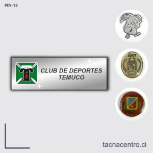 Piochas en Temuco chile