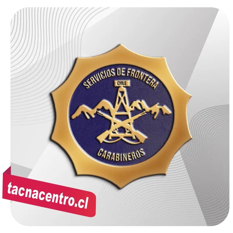 piochas de carabinero modelos personalizados chile