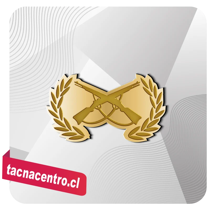 piochas de carabinero modelos personalizados chile