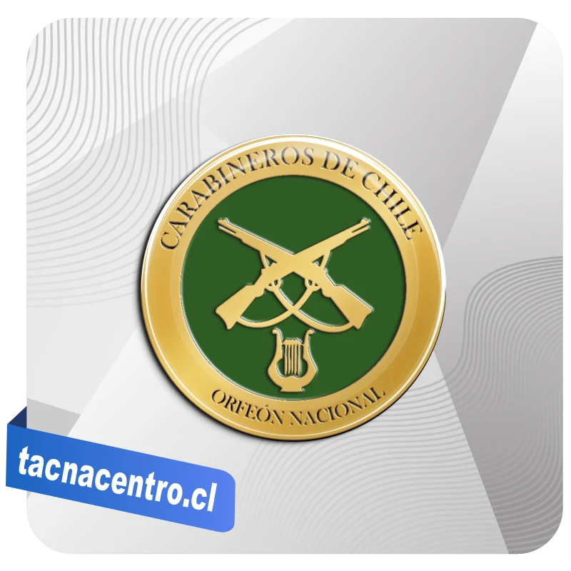 piochas de carabinero modelos personalizados chile