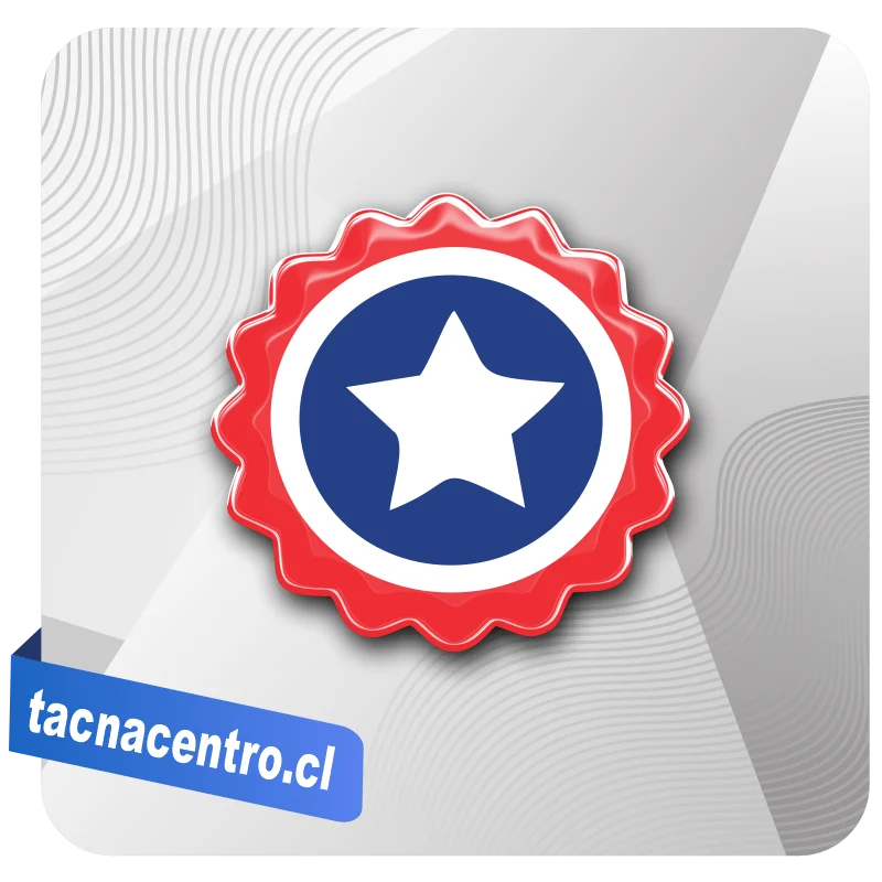 piochas de carabinero modelos personalizados chile