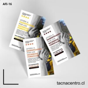 IMPRESION DE Afiches de la solidaridad