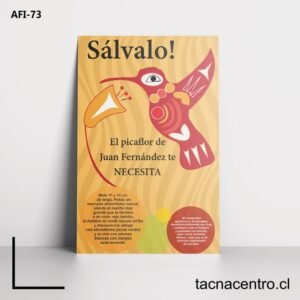 Afiches del picaflor de juan fernández