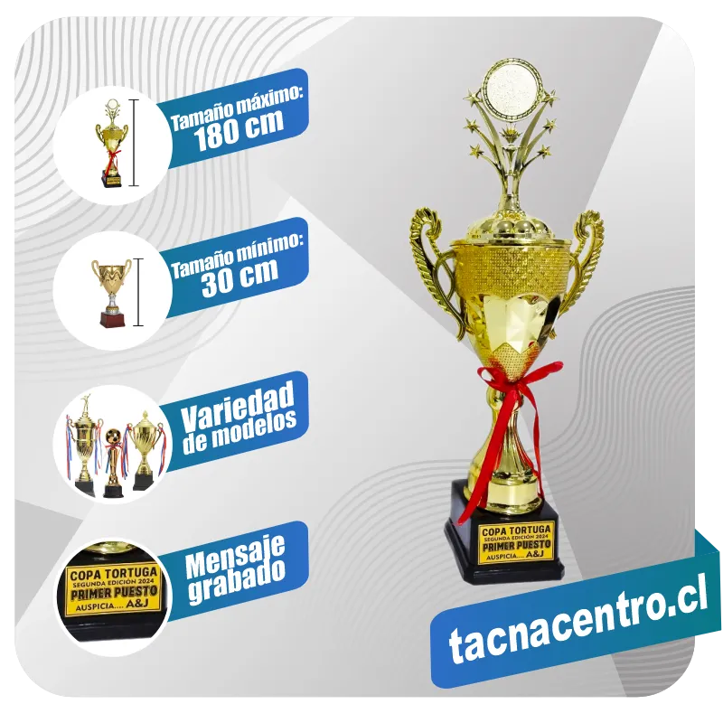 Trofeos de futbol y Copas deportivas de Premiacion 2 copas y trofeos de futbol chile caracteristicas