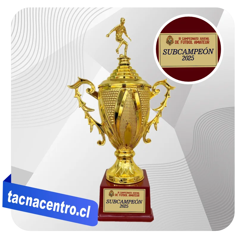 copas y trofeos de futbol chile modelos