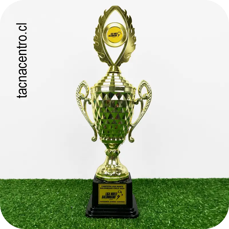 copas y trofeos de futbol chile