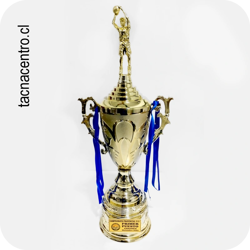 copas y trofeos de futbol chile
