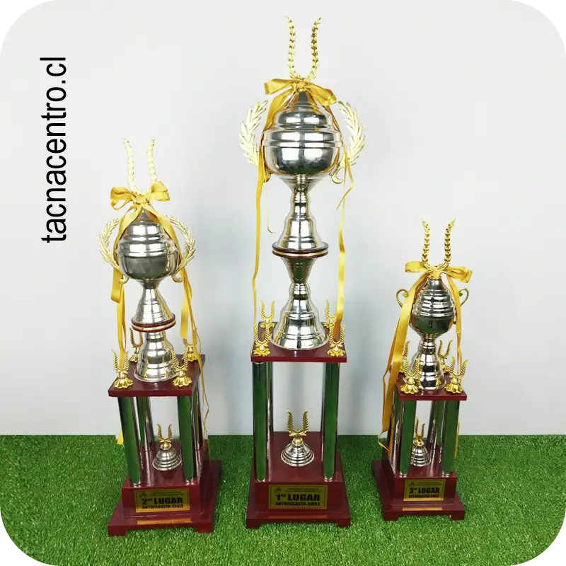 copas y trofeos de futbol chile
