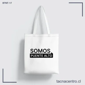 Bolsas TNT en Puente Alto