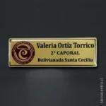 piochas-de-identificacion-en-la-serena-chile