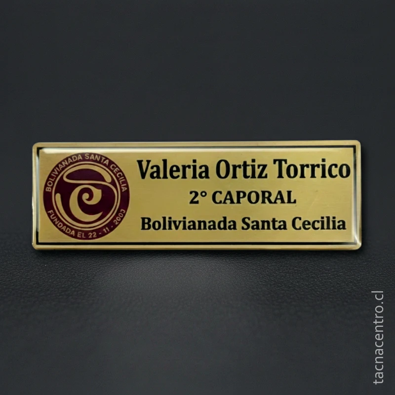 piochas-de-identificacion-en-la-serena-chile