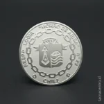 acabado-plateado-pines-en-la-serena-chile