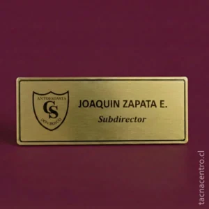 pines de identificacion dorados sublimados para subdirector