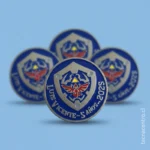 modelos de pines en la serena chile trabajos realizados esmaltado