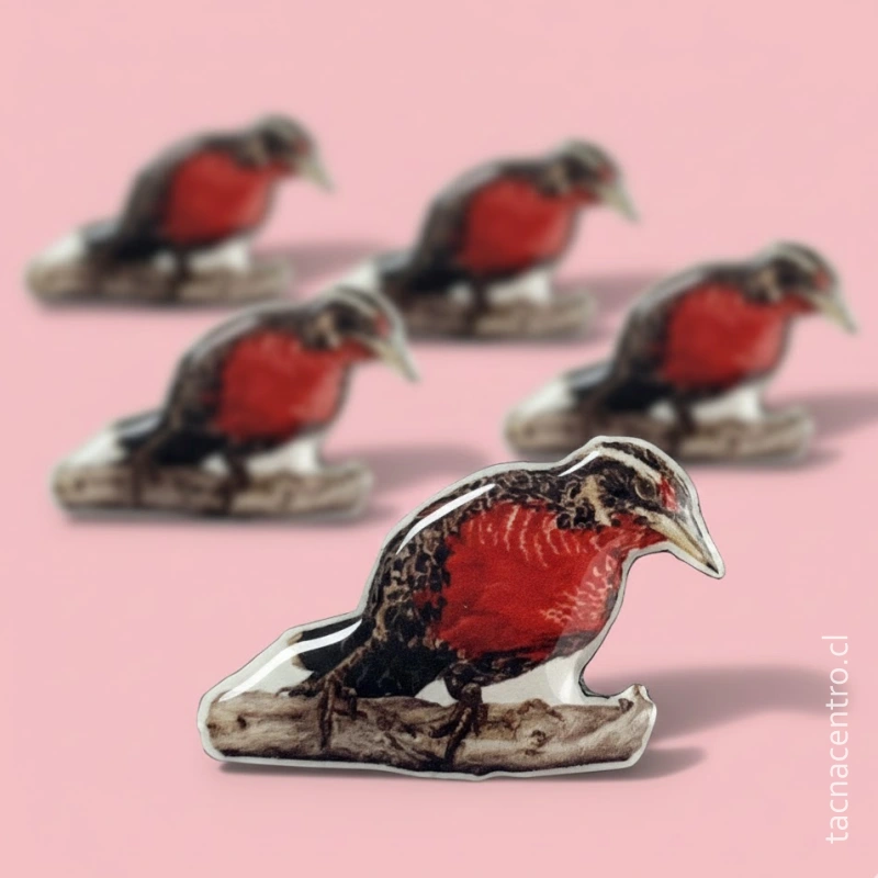 modelos de pines en punta arenas chile trabajos realizados ave