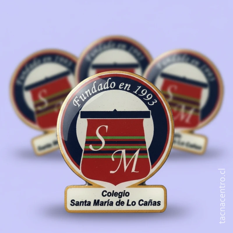 modelos de pines en antofagasta chile trabajos realizados colegio sublimado