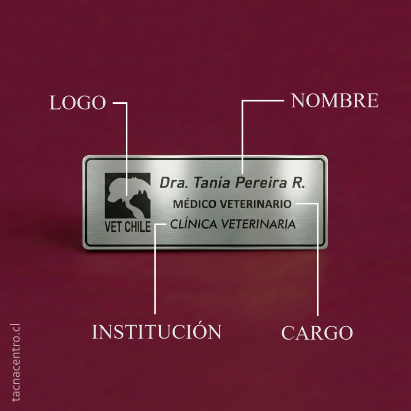 elementos para personalizacion de pines de identificacion 2025