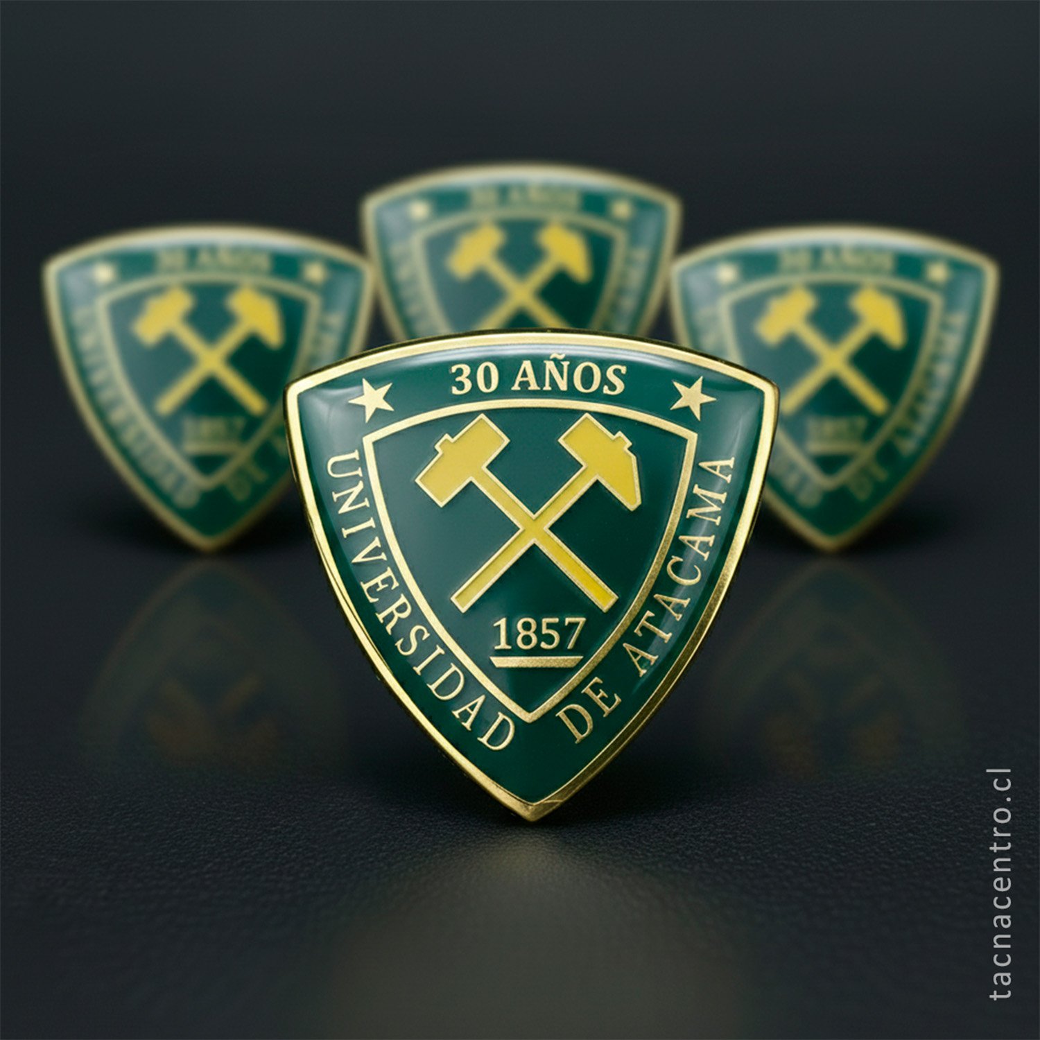 foto de pines personalizados universidad de atacama