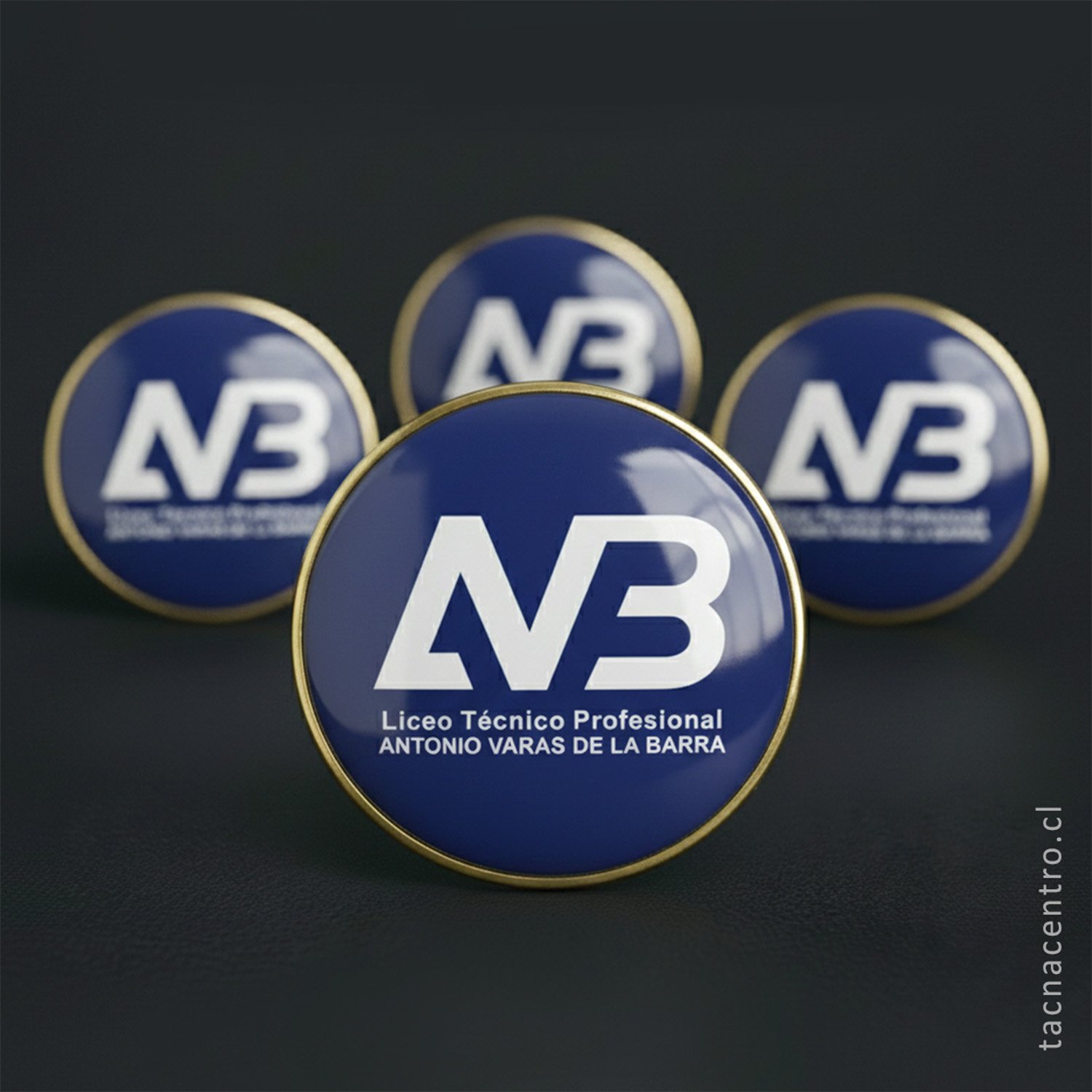 foto de pines personalizados de chile liceo tecnico profesional antonio varas de la barra