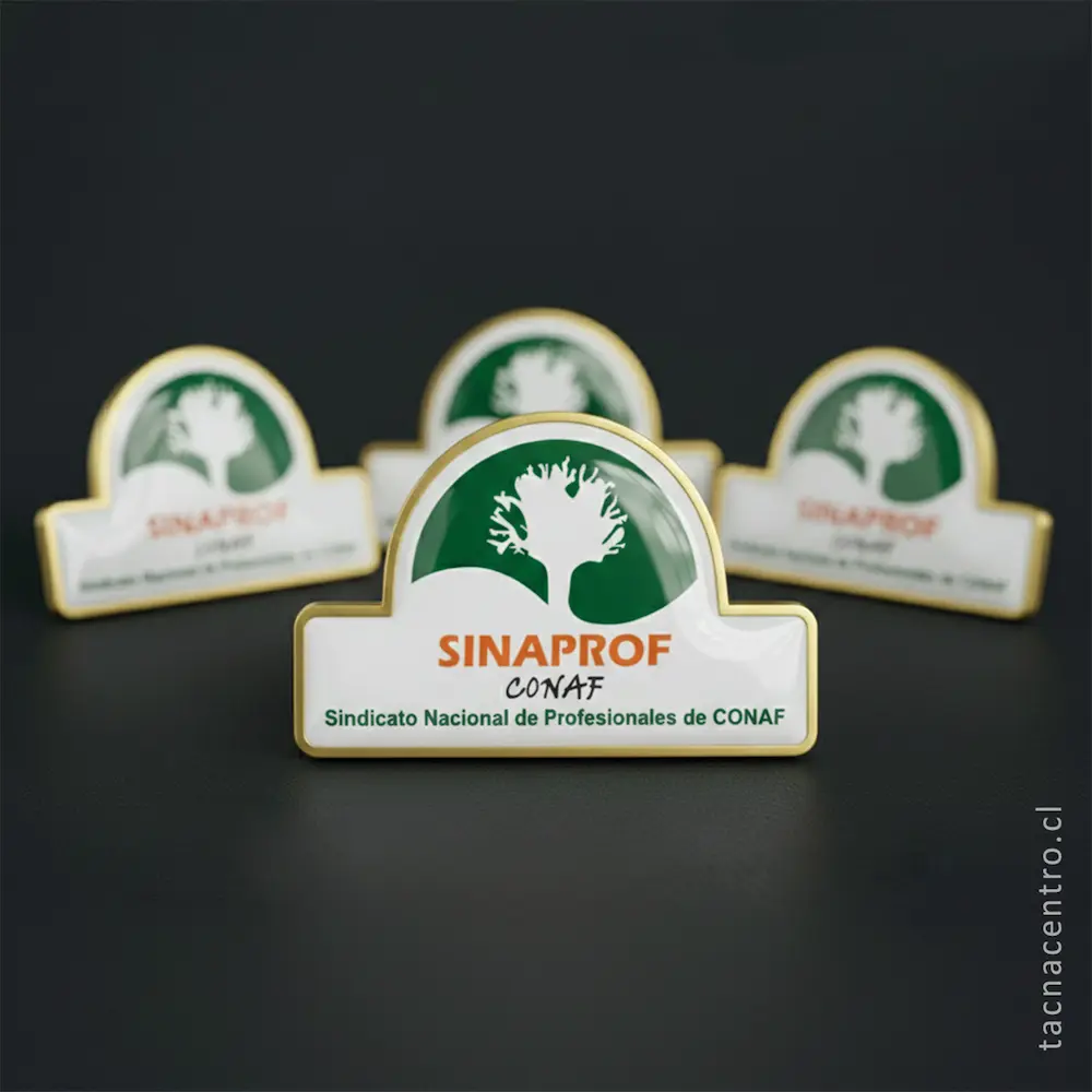 foto de pines sublimados para sindicato nacional de profesionales de conaf