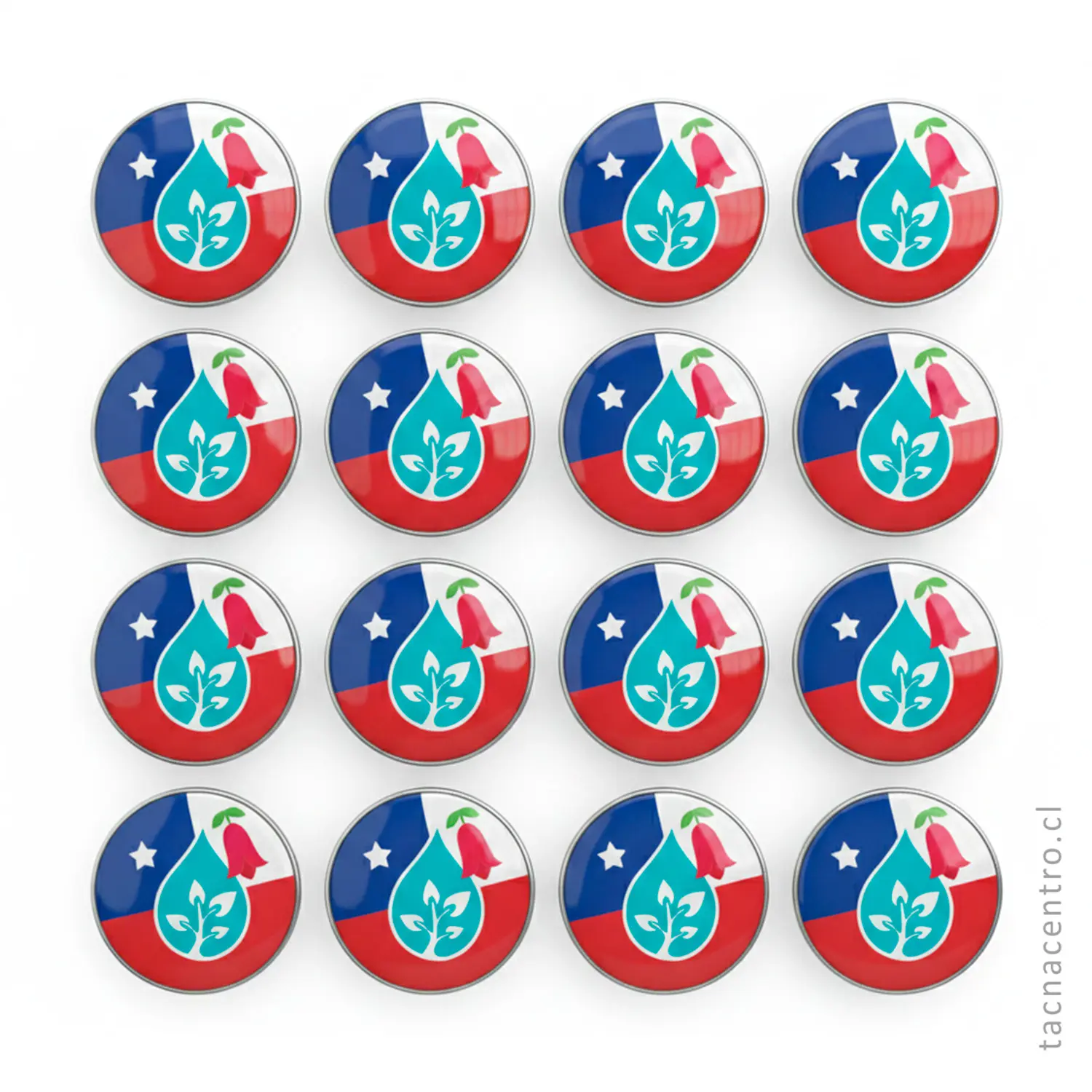 foto de trabajos enviados a chile pines metalicos personalizados redondos chile