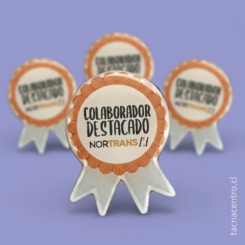 modelos de pines en santiago de chile trabajos realizados premio