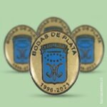 modelos de pines en concepcion chile trabajos realizados recuerdo aniversario