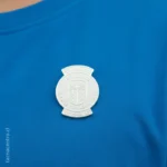 usos de los pines plateados para universidad