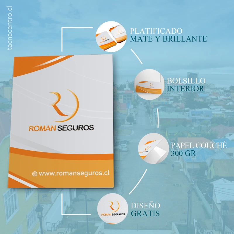 caracteristicas carpetas en punta arenas personalizadas