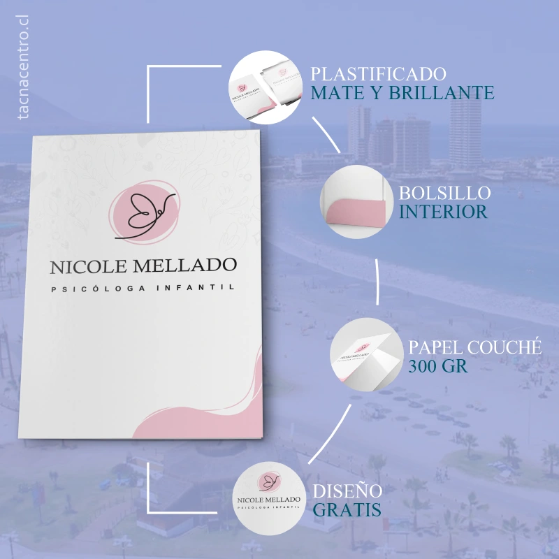 caracteristicas de carpetas en iquique personalizadas