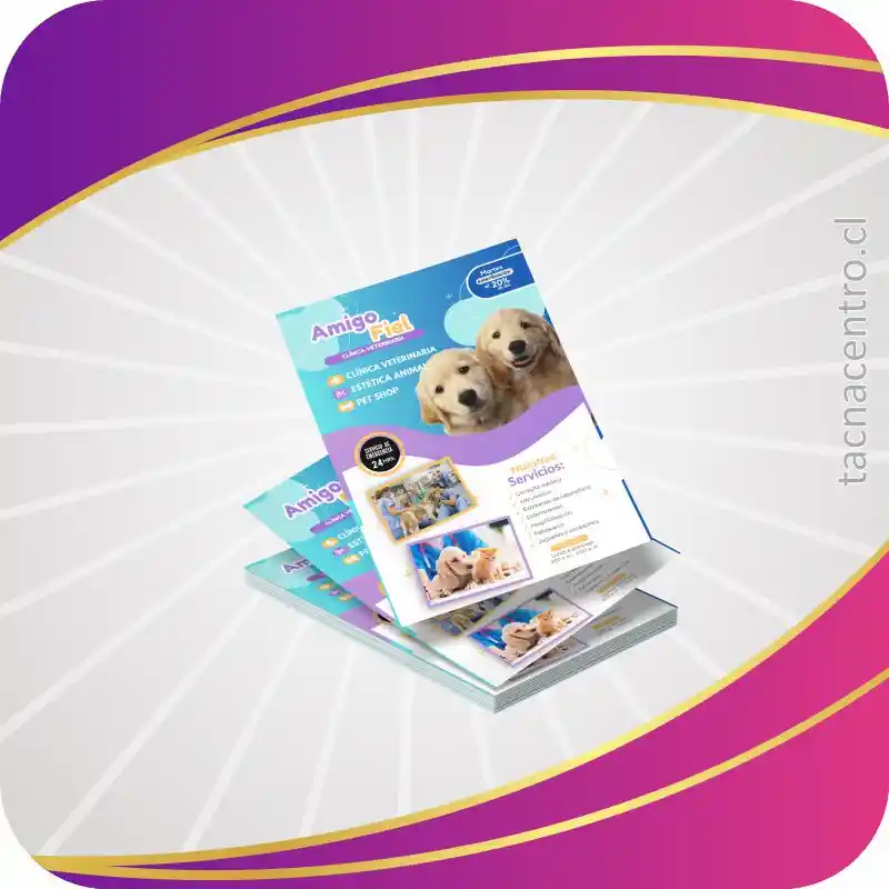 flyers publicitarios 2026