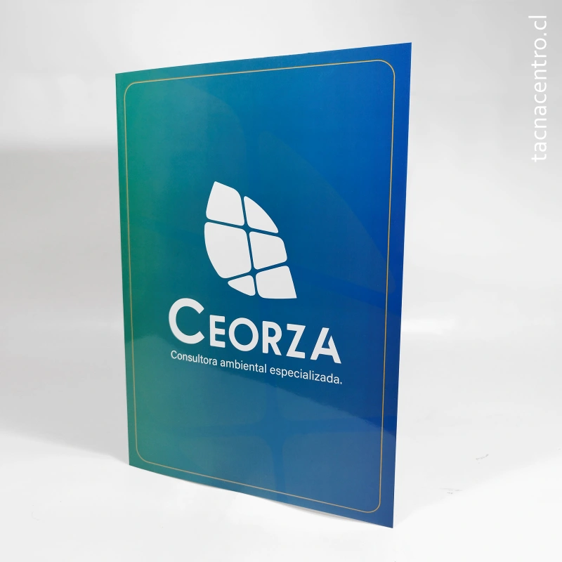 carpetas en valparaiso para consultoria ambiental