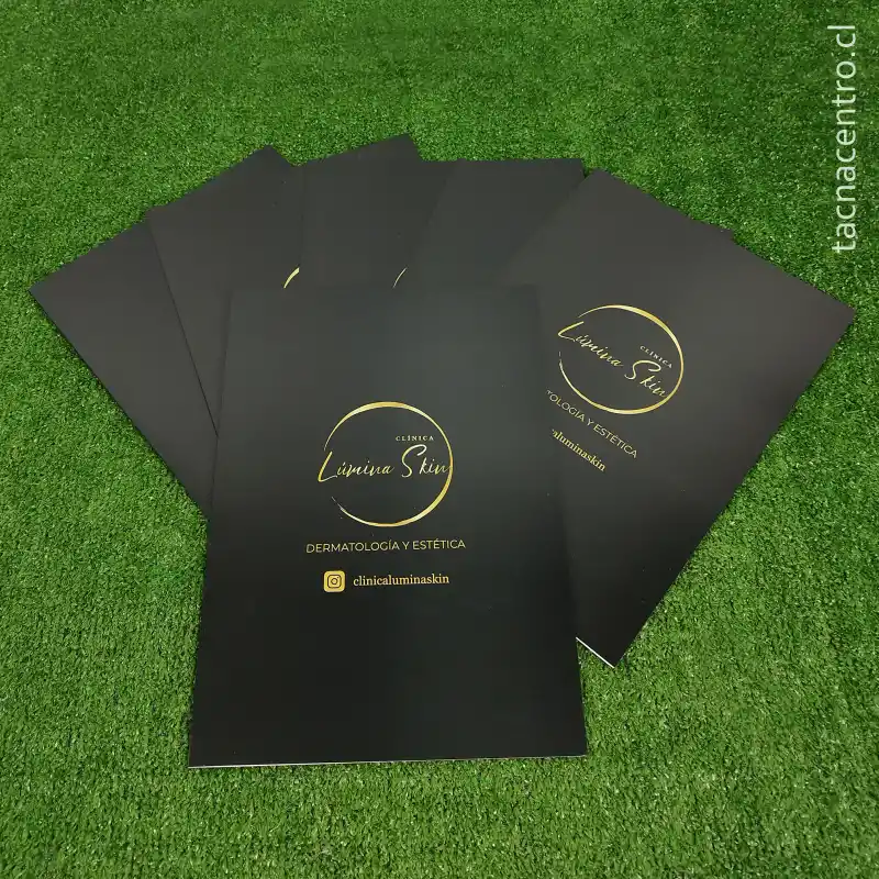 fotos de carpetas en antofagasta color negro para clinica de dermatologia en 2026