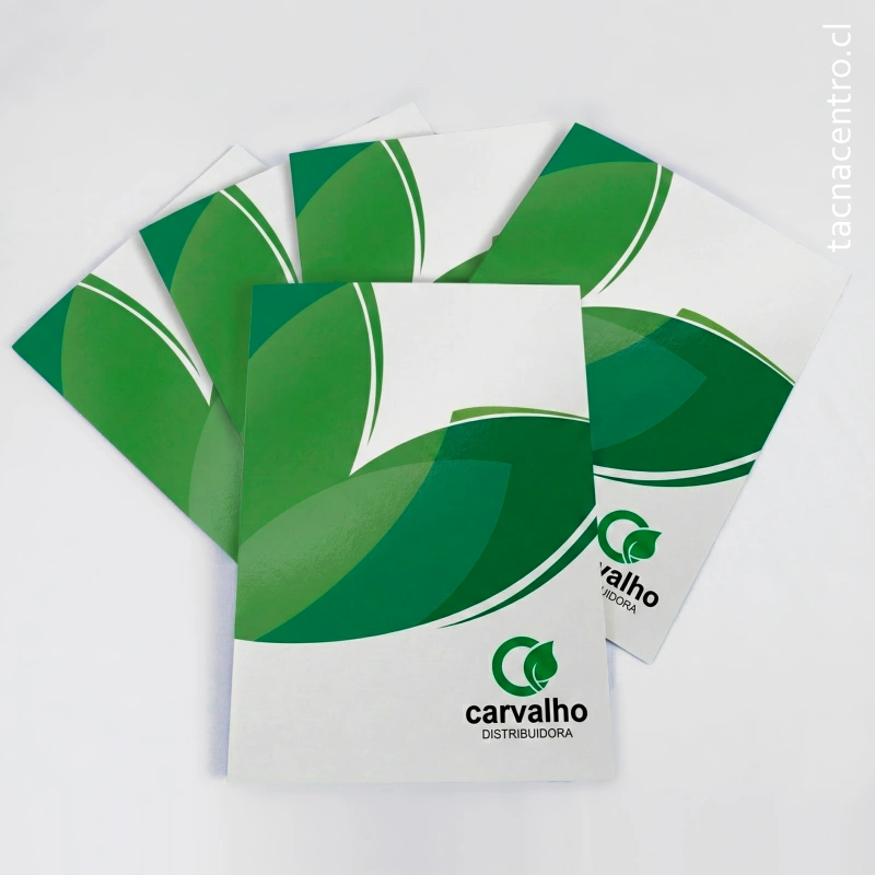 fotos de carpetas en concepcion para distribuidoras