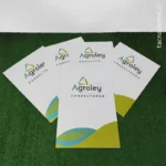 fotos de carpetas en punta arenas para consultoria