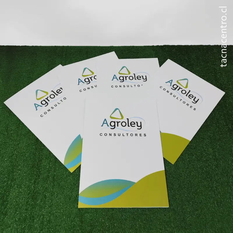 fotos de carpetas en punta arenas para consultoria