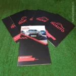 fotos de carpetas en punta arenas para venta de autos