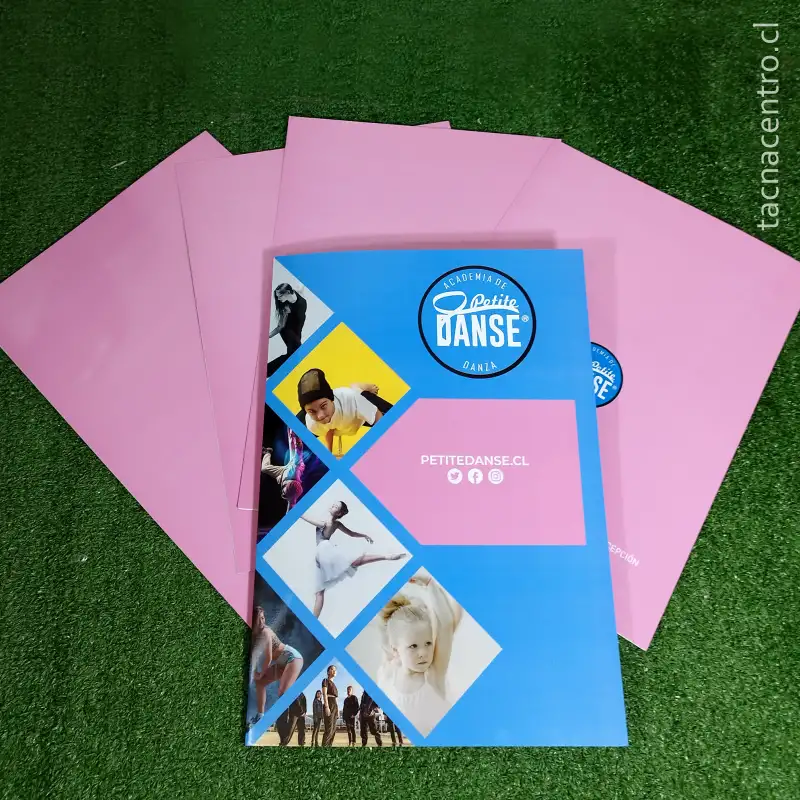 fotos de carpetas en viña del mar para academia de danza