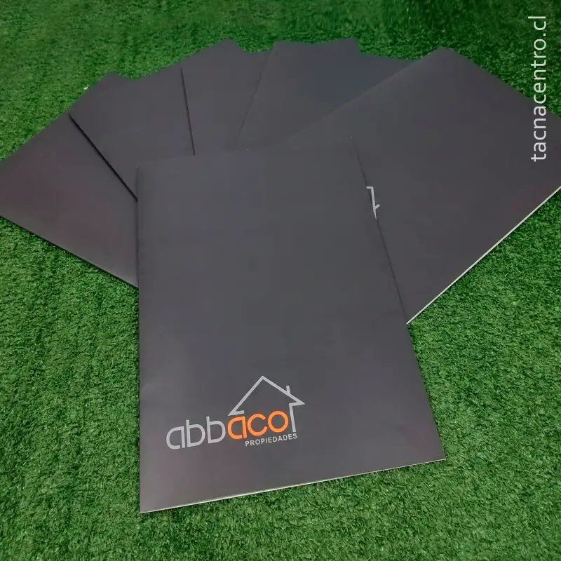 fotos de carpetas en viña del mar para inmobiliaria