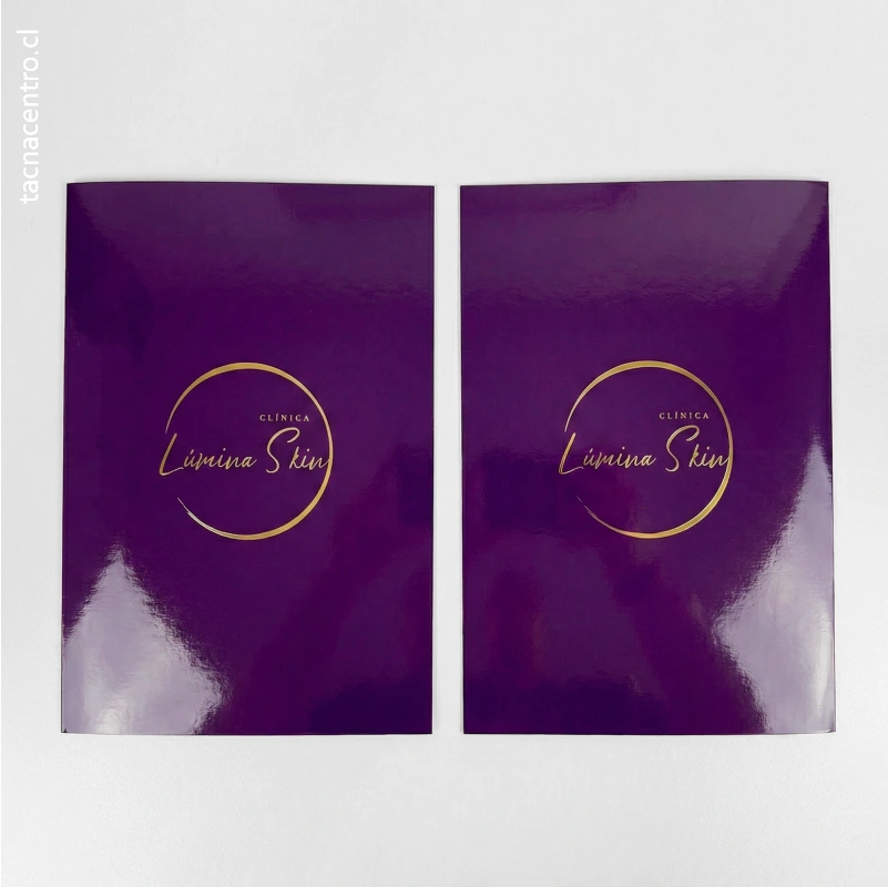 fotos de carpetas hot stamping para clinica de belleza estetica