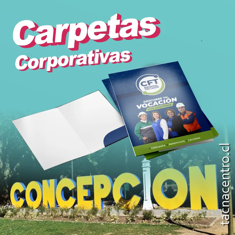 carpetas en concepcion personalizadas