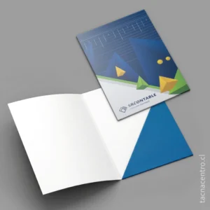 producto carpetas sectorizadas y bolsillo diagonal para estudio contable